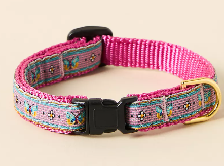 Pet Collar